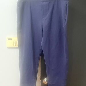 Stylish Blue Public Rec Pants
